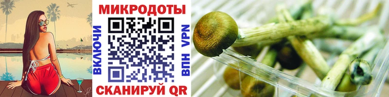 Псилоцибиновые грибы GOLDEN TEACHER  Жигулёвск 